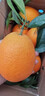 渝奉顺丰正宗重庆奉节脐橙薄皮大果现摘孕妇水果新鲜当季10斤20甜橙子 【中大果75-80】纽荷尔/推荐款 带箱子10斤 实拍图