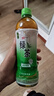 统一绿茶低糖茉莉味茶饮料整箱装休闲饮品 新老包装随机发货 低糖 500mL*15瓶 实拍图