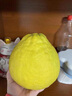骑猴赶马正宗度尾文旦柚福建红心蜜柚应季新鲜水果礼盒过节送礼仙游文旦柚 【5斤网袋装丨单果约1.3斤】精选装 金奖品质度尾文旦柚 实拍图
