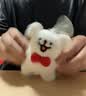 KKV线条小狗毛绒公仔娃娃可爱小狗玩偶书包挂饰娃娃钥匙扣礼生日礼物 领结款挂饰 实拍图