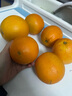 京觅赣南脐橙新鲜水果生鲜甜橙子 4.5斤大果 单果约200g+ 源头直发 实拍图