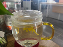 美斯尼 玻璃茶杯办公室水杯茶水分离杯子茶具套装泡菊花茶玻璃加厚带把手带过滤女男士大号耐热水杯 黄把茗韵杯  500ml 实拍图
