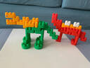 Hape polym积木 柔性进口大颗粒拼插男女小孩玩具儿童节礼物 探秘恐龙套（200颗粒）18M-3Y 实拍图