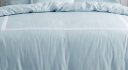 馨亭法国馨亭床上用品全棉秋冬新品迪恩四件套床单被套枕套1.5米1.8米 天蓝色 1.5m 晒单实拍图