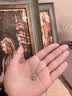 中国黄金（CHINA GOLD）星芒雪花铂金项链女款2026新款白金吊坠生日七夕情人节礼物送女友 【今/次日达】铂金星芒吊坠+铂金闪O链 实拍图