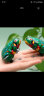 Murcia铁皮青蛙玩具发条小动物8090后儿时怀旧上链弹跳跳蛙儿童生日礼物 实拍图