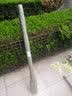 余霞成绮菜园黄瓜爬藤架花架葡萄架子阳台豆角架植物园艺花支架固定支撑杆 直径11mm长度120cm20支 中等 实拍图