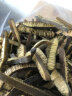 笙茸海茸干货新晒海笋干海松茸冰笋金茸片海龙筋丝海藻素食菜 金茸片250克 实拍图