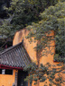 佳能sx740hs相机 高清旅游家用美颜数码相机卡片机 入门级长焦卡片机  PowerShot SX740 HS 银色 套餐一【精选配件 满足您的日常拍摄需求】 实拍图