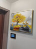 瑞尚电表箱装饰画免打孔轻奢挂画遮挡箱电闸箱多媒体盒配电箱客厅壁画 金鹿送福A 70*50可覆盖（横60竖40）晶钻面 实拍图