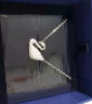 施华洛世奇 银天鹅 SWAN 项链女 锁骨链女 送女友礼物 新年礼物 5007735 实拍图