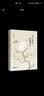 林达作品集 近距离看美国（套装共4册）：我也有一个梦想+历史深处的忧虑+如彗星划过夜空+总统是靠不住 三联 实拍图