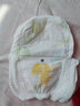 柔丫拉拉裤芯太软小倾芯一体裤超柔透气尿不湿宝宝学行裤医护级 赠品试用装一片 实拍图