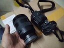 索尼（SONY） ILCE-A7M4 全画幅微单数码相机专业级a74  a7m4 索尼A7M4 A7M4+FE 24-105mm F4 G 镜头 官方标配（建议套餐搭配） 实拍图
