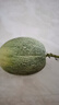 山东哈密瓜新鲜脆甜当季西州蜜蜜瓜  孕妇儿童皆宜 3-3.5斤 实拍图