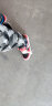 波尼（PONY）PONY波尼ATop中低帮滑板鞋时尚男运动板鞋硫化鞋休闲鞋82M1AT03 红色（男） 41 实拍图