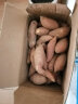 寄春板栗蜜薯10斤新鲜红薯西瓜红农家自种沙地红薯粉糯香甜糖心地瓜 红薯 精品带箱9-10斤装 小果 实拍图