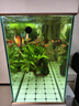 森森（SUNSUN）大型鱼缸底过滤水族箱客厅家用落地玻璃生态金鱼缸 超白隔断屏风款 1.2米长42cm宽（黑白可选） 实拍图