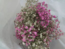 爱满（AIMAN）云南直发干花花束真花家居摆设装饰小清新客厅办公室摆件风干花束 白色+粉色 满天星 不带花瓶 实拍图