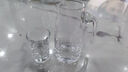 青苹果 家用饭店用白酒水晶分酒器套装二两杯量酒器小号玻璃白酒杯 子弹杯15+水晶分酒器 100ml 实拍图