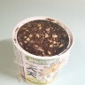 杉憬茂罐装种植小盆栽 桌面罐头植物小学生毕业幼儿园向日葵小花农礼物 天天向上（向日葵） 晒单实拍图