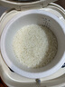 天际（TONZE） 陶瓷内胆电饭煲 智能无涂层不粘电饭锅家用多功能2-5人用煮粥煲汤蒸米饭锅12GC 【升级款/冰焰全瓷内胆】 2L 实拍图