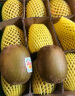 佳沛（zespri）新西兰阳光金奇异果 8个装 特大果单果重约124-146g 水果 猕猴桃 实拍图