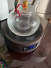 叁坤 加厚玻璃茶壶耐热煮茶器养生壶泡茶烧水提梁壶普洱花茶壶过滤家用保温煮茶电陶炉功夫茶具 铜珠壶+黑檀色茶炉【升级款】 实拍图