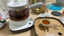 小熊（Bear）小熊（Bear）养生壶煮茶壶煮茶器 0.5L便携式烧水壶旅行家用蒸茶器花茶壶 ZCQ-A05S1 配茶具茶杯 实拍图