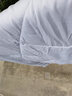 水星家纺 被子被芯 七孔透气纤维被 宿舍可用 单双人四季可用春夏空调被 【白色】夏凉被（升级工艺） 220x240cm(适配1.8米床套件) 实拍图