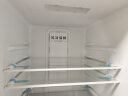 美的(Midea)三门小型家用冰箱风冷无霜三开门小冰箱BCD-247WTM(E)全温区变温247升家电节能低噪 晒单实拍图