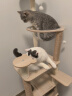 御宠坊 魅宠 猫爬架猫窝猫树一体猫抓板大型太空舱通天柱猫架子猫咪别墅 梦幻喵仙堡MX-09【升级加厚】 实拍图