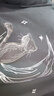 NASA GISS官方潮牌联名纯棉短袖男夏t恤潮流大码宽松半袖 铁灰 L  实拍图