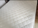 欧灵床垫椰棕垫棕榈硬垫乳胶1.5米可定制折叠1.8米儿童护腰护脊床垫子 5cm白/麦/灰一体款【颜色备注】 0.8米*1.9米 实拍图