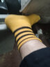 宝盖丁潮袜男潮流长筒欧美街头青少年嘻哈学生潮牌ins袜子女滑板袜条纹 四色混配 均码 实拍图