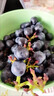 云南夏黑葡萄新鲜2024应当季无籽葡萄黑加仑提子孕妇水果整箱 5斤(单果10g+) 实拍图