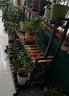 木都居简易多层实木铁艺花架置物架鞋架室内阳台花架落地式客厅花盆架庭院花架 黑色*碳化木 长80三层 实拍图