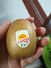 佳沛（zespri）新西兰阳光金奇异果16粒礼盒经典果单果约 80-103g 水果礼盒 实拍图