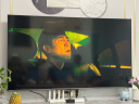 海信电视75E5N Pro 75英寸 信芯精控 ULED Mini LED 512分区 游戏智慧屏 液晶平板电视机 以旧换新 实拍图