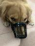 dogstory狗嘴套宠物口罩中大型犬通用防咬保护套金毛柯基泰迪 黑色 XXL（适合50斤狗狗） 实拍图