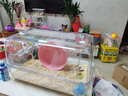 派乐特 仓鼠陶瓷窝小宠鼠类金丝熊用品降温避暑冰凉夏季躲避屋 实拍图