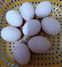 葛溪正太鸡蛋 农场直供 健康早餐 鲜蛋 农场直供鲜鸡蛋x8枚【单枚40g】 实拍图