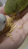 派乐特  鸟粮鹦鹉饲料零食虎皮玄凤牡丹带壳黄谷子小米食物粮食 晒单实拍图