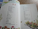 金波四季美文（注音美绘版）夏天卷· 沙滩上的童话暑假作业 一升二暑假衔接 小升初暑假衔接 实拍图