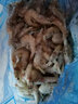 莲山九鲜新鲜冷冻扇贝肉蒜蓉粉丝扇贝生鲜贝类海鲜烧烤火锅食材 扇贝肉 1kg 实拍图