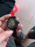 欧绮娜（MG.ORKINA MG）女士时尚个性女表 镂空飞轮自动机械表 罗马刻度腕表 情人节礼物 黑壳黑面米兰带 实拍图