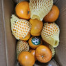探味君 广西武鸣沃柑 新鲜水果应当季时令橘子桔子整箱 生鲜 净重8.5-9斤 单果75-80mm 实拍图
