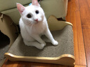 美悦宠物 实木猫抓板磨爪器猫爪板护沙发瓦楞纸磨爪板猫咪用品猫窝大号 长50厘米  实木瓦楞纸猫沙发 实拍图