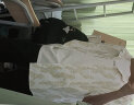主意范（ZHUYIFAN）胖子超大码衬衫男士短袖夏季宽松大码冰丝学生外套休闲衬衣男装外 黑色+白色(两件装) XL 125-145斤 实拍图