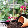 德沃多肥料蔬菜专用营养土15L带肥料园艺盆栽种菜果蔬花土种植有机基质土壤 实拍图